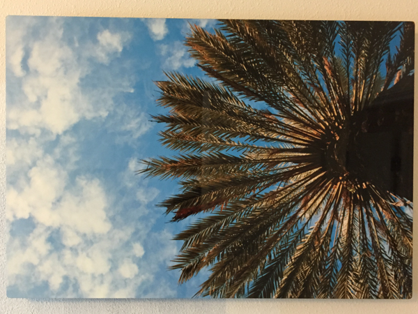 "Sunshade" - Photo by Ari Shapiro.  Metal Print with wall hook, 1/2" Standout from wall. Measures 18"w x 12"h. $40